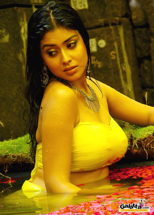 shreyahot pictures